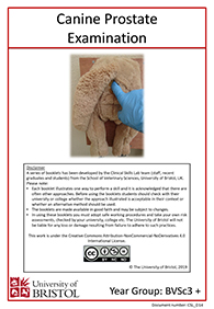 clinical skills instruction booklet cover page, Canine Prostate Examination